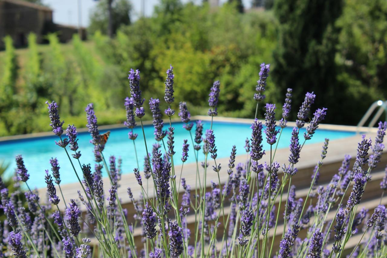 Villa Privata Per Famiglie O Amici Barberino di Val dʼElsa Exterior foto